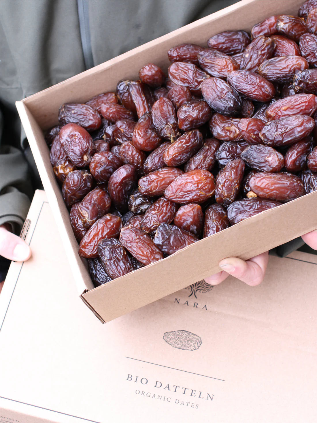 Medjool Bio Datteln